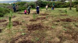 Festa dell'albero a Orvile 11 2021 Festa dell'albero a Orvile 11 2021