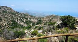 Paladimonti S.Teodoro (foto A.Saba) 7 Paladimonti S.Teodoro (foto A.Saba) 7