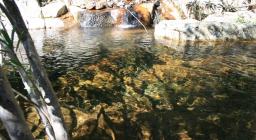 Rilascio-oridda-scaled Rilascio-oridda-scaled