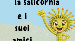 Sal la salicornia - copertina Sal la salicornia - copertina