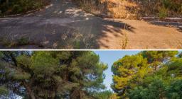 PRIMA e DOPO...Salita fianco motori dx PRIMA e DOPO...Salita fianco motori dx