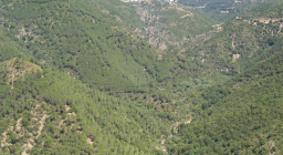 Monti tra Talana e Villagrande S.
