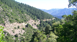 Talana, vista panoramica lungo il sentiero B-531