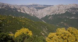 Veduta della zona montuosa di Urzulei e Dorgali (foto D.Ruiu)