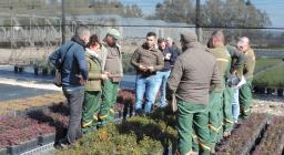 Visita vivaio normale.