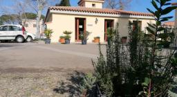 vendita piantine a Bagantinus