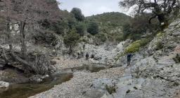 La ricerca delle trote trovate sul rio Flumineddu(foto M.Manca Forestas )
