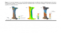 analisi 3d del tronco, elaborazione dati per individuare la superficie di rottura del tronco analisi 3d del tronco, elaborazione dati per individuare la superficie di rottura del tronco