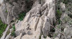 alcuni campi solcati lungo i sentieri di Normann alcuni campi solcati lungo i sentieri di Normann