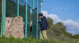 apertura voliera grifoni rilasciati 30.11.22 (FOTO CONCESSE, credits Mauro Sanna - A.Varcasia) apertura voliera grifoni rilasciati 30.11.22 (FOTO CONCESSE, credits Mauro Sanna - A.Varcasia)