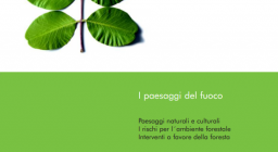 brochure fd campidano brochure fd campidano