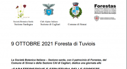 estratto locandina Tuviois