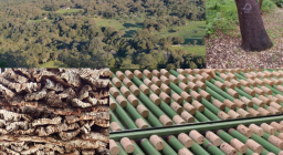 filiere del Sughero filiere del Sughero