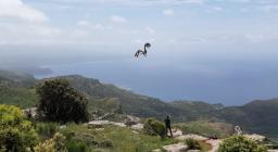 il grifone Hospiton dopo aver spiccato il volo