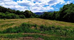 frutteto nel cantiere di Gusana (foto F.Orrù) frutteto nel cantiere di Gusana (foto F.Orrù)