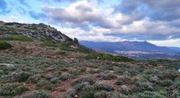 iglesias da monte s.g iglesias da monte s.g