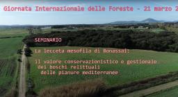 locandina panoramica