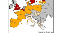 mappa mortalità Api UE