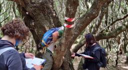 martelloscopio 4 martelloscopio 4