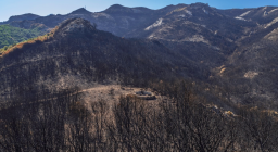 scorcio cime Montiferru incendiato (foto M.Solinas da guida escursione CAI)