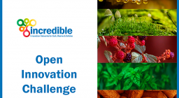 OIC progetto Incredible 2