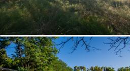 PRIMA e DOPO...retro guardiania PRIMA e DOPO...retro guardiania