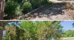 PRIMA e DOPO...retro sx PRIMA e DOPO...retro sx