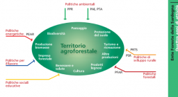 Quattro anni di attività 2005-2008-riorganizzazione