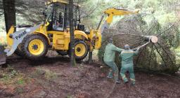 carico albero per assisi