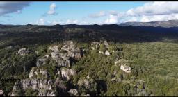 Paesaggi- dal video "Forestas non solo foreste" di D.Ruiu
