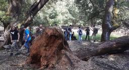 Studenti di Palermo in visita alle foreste sarde 2