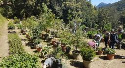 Studenti di Palermo in visita alle foreste sarde - vivaio montes Studenti di Palermo in visita alle foreste sarde - vivaio montes