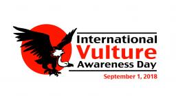 vulture aw 2018 vulture aw 2018