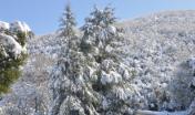 Neve lungo la provinciale da monte Pisanu a Bono