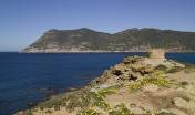Digital Library: Torre di Bantine Sale e promontorio di Porto Ferro