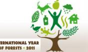 anno internazionale delle foreste