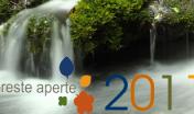 foreste aperte 2011 logo foreste aperte 2011 logo