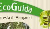 Ecoguida foresta Marganai