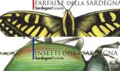 Schede Farfalle e Insetti