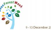 logo settimana FAO delle Foreste 2013