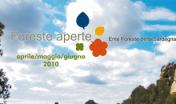 Foreste Aperte 2010