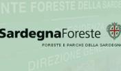 Ente Foreste Direzione