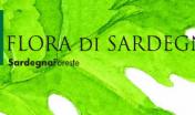 Scheda flora sarda