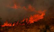 Incendi in Sardegna