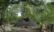 Carbonaia presso oasi Assai (Nughedu S.V.)
