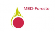 logo MEd foreste