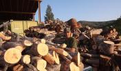 produzione e vendita legna da tagli forestasli.jpg