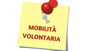 Mobilità volontaria