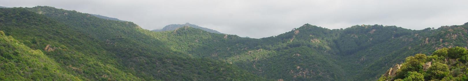 Foresta Pixinamanna dal sentiero Cascata di Sa Spendula (Pula)
